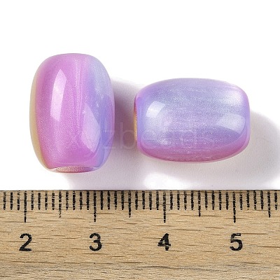 Triple Color Resin European Beads RESI-F055-13I-1
