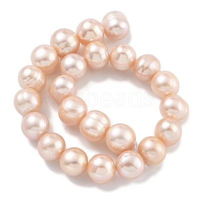 Natural Cultured Freshwater Pearl Beads Strands PEAR-C003-19E-1
