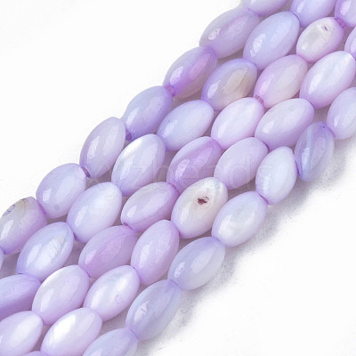 Natural Freshwater Shell Beads Strands SHEL-N003-25-B04-1