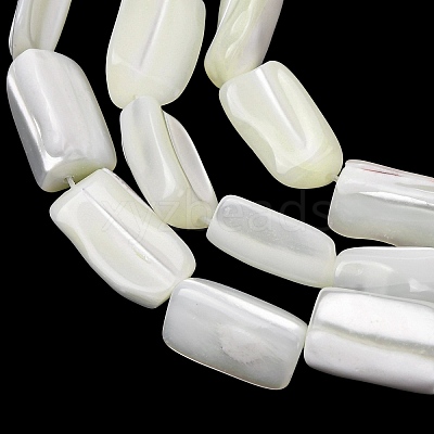 Natural Trochid Shell/Trochus Shell Beads Strands SH-CBA2978-20A-1