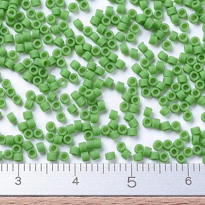 MIYUKI Delica Beads X-SEED-J020-DB0754-1