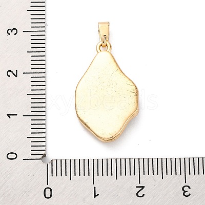 Brass Enamel Pendants KK-S502-06G-1