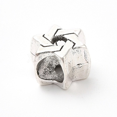 Tibetan Style Alloy European Beads PALLOY-P293-144AS-1