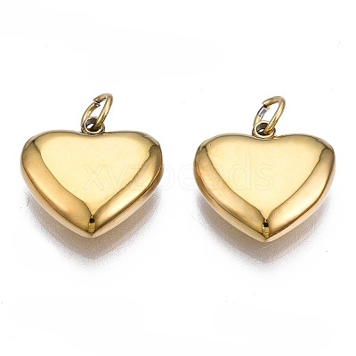 316 Surgical Stainless Steel Charms LS-STAS-N097-045-1