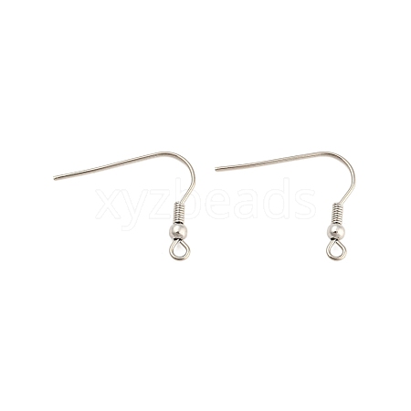 304 Stainless Steel Earring Hooks STAS-E147-14P-1