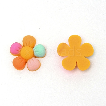 Resin Cabochons RESI-TAC0007-19A-1