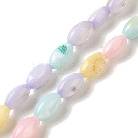 Rainbow Color Dyed Natural Freshwater Shell Beads Strands SHEL-G018-02H-1