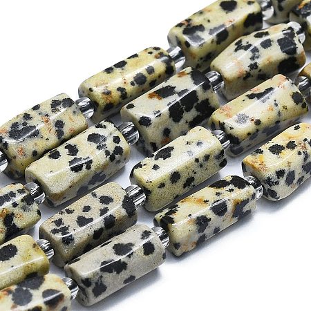 Natural Dalmatian Jasper Beads Strands G-K245-I03-01-1