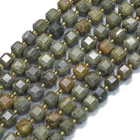 Natural Silver Leaf Jasper Beads Strands G-K389-A70-01-1