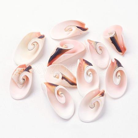 Natural Freshwater Shell Beads BSHE-L036-29-1