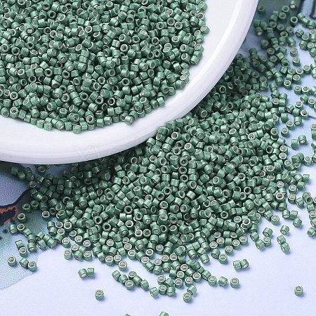 MIYUKI Delica Beads SEED-MY11-DB1171-1