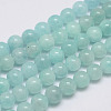 Natural Amazonite Bead Strands G-P204-02-6mm-1