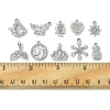 20Pcs 10 Style Alloy Crystal Rhinestone Pendants ALRI-FS0001-01-6