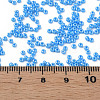 11/0 Czech Opaque Glass Seed Beads SEED-N004-003B-17-6