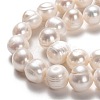 Natural Cultured Freshwater Pearl Beads Strands PEAR-L033-92-2