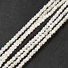 Natural White Shell Beads Strands SHEL-G014-14-2