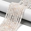 Natural Rainbow Moonstone Beads Strands G-G189-C06-03-2