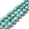 Natural Howlite Beads Strands G-C025-14-1