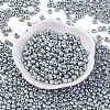 Baking Paint Glass Seed Beads X-SEED-S003-K29-1