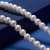 Natural Cultured Freshwater Pearl Beads Strands PEAR-E002-25-01-5