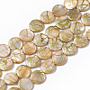 Drawbench Freshwater Shell Beads Strands SHEL-T014-012F-1