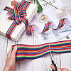 2 Rolls 2 Style Stripe Pattern Printed Polyester Grosgrain Ribbon OCOR-TA0001-38A-12