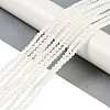Natural Freshwater Shell Beads Strands BSHE-H109-03A-2