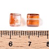 Baking Paint Transparent Glass Beads DGLA-N005-01A-08-4