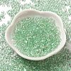 Glass Seed Beads SEED-K009-04A-07-2