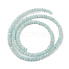 Natural Freshwater Shell Dyed Beads Strands SHEL-R100-13A-02-2