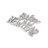 Alloy Pendants ENAM-R149-16P-2