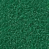 MIYUKI Round Rocailles Beads SEED-JP0009-RR0646-3