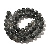 Natural Biotite Beads Strands G-F784-A03-03-3