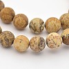 Natural Picture Jasper Beads Strands X-G-D659-6mm-1