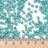 TOHO 6/0 Round Beads SEED-TR06-PF0569-4