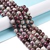 Natural Plum Blossom Tourmaline Beads Strands G-P477-01C-01-2