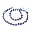 Natural Iolite Beads Strands G-O201B-02-2
