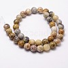 Natural Crazy Lace Agate Beads Strands X-G-D840-70-6mm-2