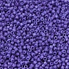 MIYUKI Delica Beads SEED-J020-DB2359-3