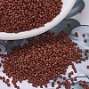 MIYUKI Delica Beads X-SEED-J020-DB0794-1
