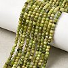 Natural Serpentine Beads Strands G-P603-C-3mm-06-1