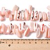 Dyed Natural Trochus Shell Beads Strands SSHEL-C013-09L-4