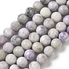 Natural Purple Turquoise Beads Strands G-L595-C04-02-1