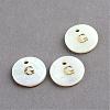 Freshwater Shell Pendants SSHEL-S249-G-1