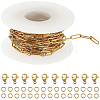 SUNNYCLUE DIY Chain Bracelet Necklace Making Kit CHS-SC0001-03G-1