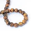 Grade AB Natural Tiger Eye Round Bead Strands G-E334-10mm-17-2