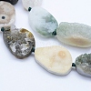 Natural Ocean Agate/Ocean Jasper Beads Strands G-F532-07-A-3