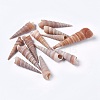 Natural Conch DIY-WH0097-01-1