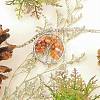 12Pcs 12 Colors Gemstone Pendants G-PH0001-33-WH-4