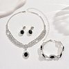 Oval & Horse Eye Brass Rhinestone Necklaces & Bracelets & Earring Sets FS-WG182CE-03-3